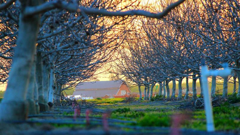 Smart Agriculture Sensors Boost Crop Yields